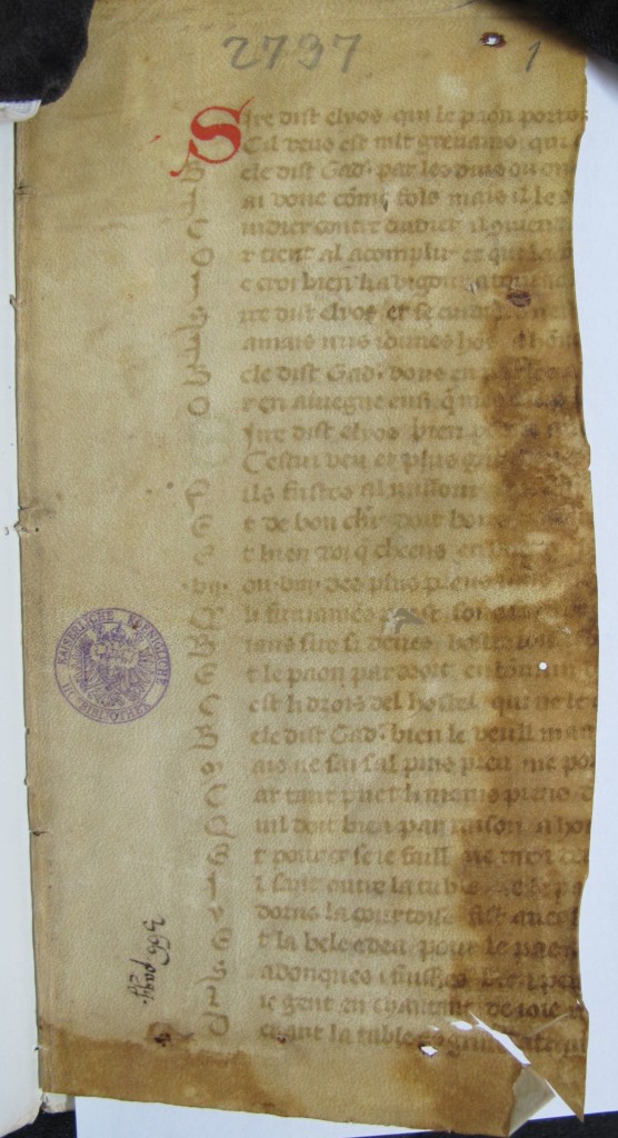 Cod. ser. n. 242 fol. 1r mit der Angabe "366 pagg."