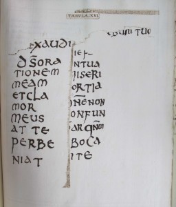 ÖNB Cod. 9492, fol. 119r